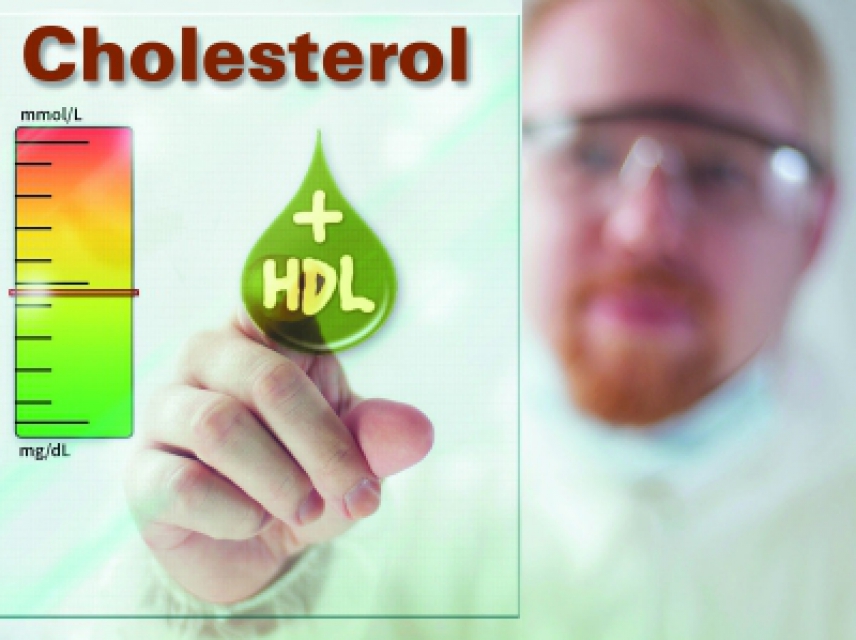 چگونه HDL یا کلسترول خوب را افزایش دهیم.